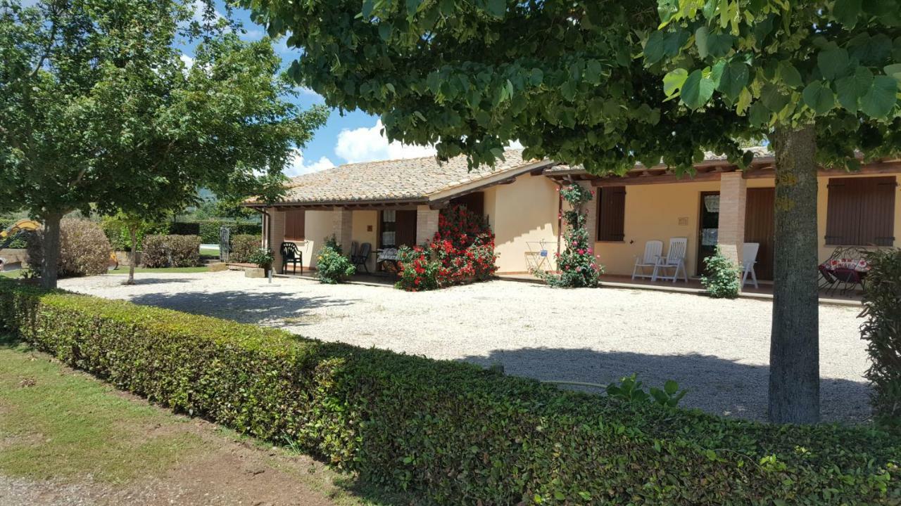 Agriturismo Casale Del Contadino Bolsena Exterior photo